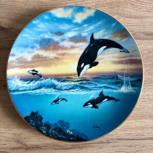 Killer whale plate